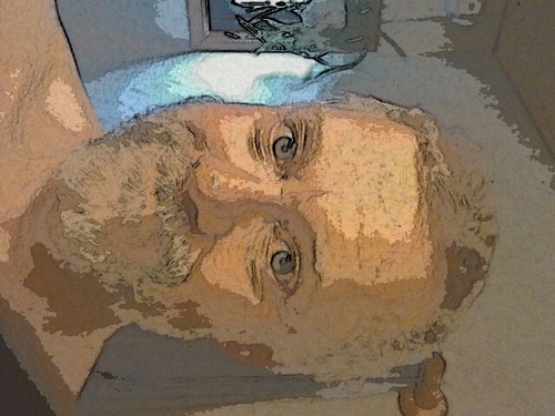 Parneherman's profile picture. 