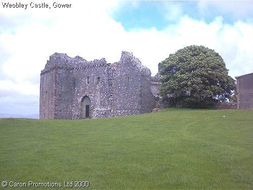 Weobley Castle Profile