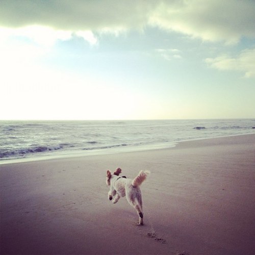 billepilgrim's profile picture. Whenever you find yourself on the side of the majority, its time to pause and reflect.       Mark Twain