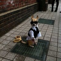 むー (@taddy79) 's Twitter Profile