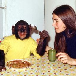 no_laurie's profile picture. I give out the finest pig milk.