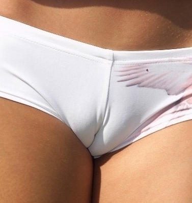 amo pata de camelo