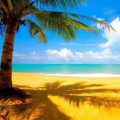 FOLLOW ME AND I WILL FOLLOW YOU BACK!!!         AWESOME TWEETS @icecold996
