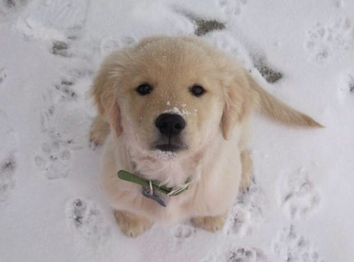 okju32's profile picture. 