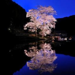 美しい日本が大好きです。