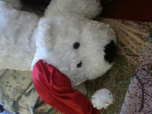 JDestany's profile picture. hI my name Is Destany Jackasal I am 11 years old.Yes I am related to @08004088