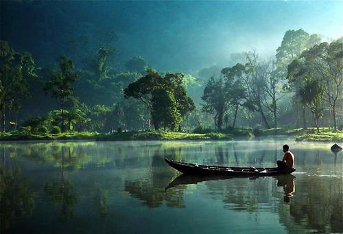 nayonngn1's profile picture. 