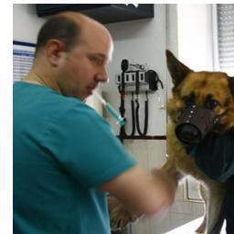 fundaciontakeca's profile picture. Fundacion ayuda al perro abandonado maltratado,no se conforme con decir hay pobresito actue! denuncie maltratos donaciones purina, casas, tiempo 3015353252