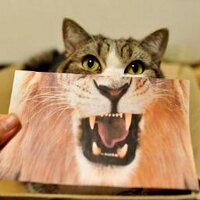 Tamsin Ranger (@tamsinranger) 's Twitter Profile Photo