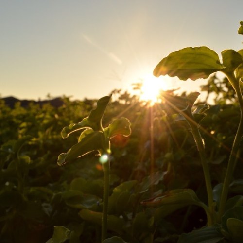 kinonosw's profile picture. どうもっ！ 只今ネットビジネスに勤しむ平凡な学生です(^^)　 趣味は最近購入したNikonD5100で写真撮るのとお洒落とアニメ大好きです！  今はネットで月5万円稼ぐ画策中…  相互フォロー歓迎ですよ！！