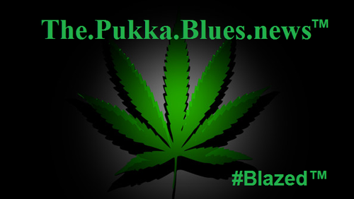PukkaBluesNews's profile picture. #GET2KNOW #Blazed
