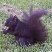 Jeremy Edmonds (@jeremyedmonds) 's Twitter Profile