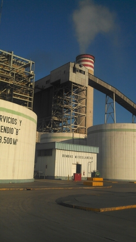 Presirocks's profile picture. 