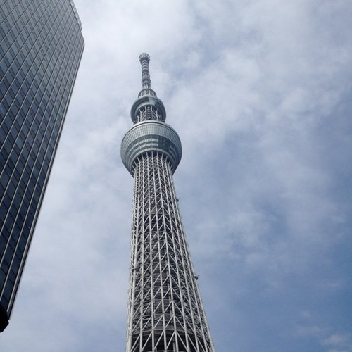 ツイッター初心者です。 宜しくお願いします。