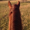 Peter Ballard - @pballard51 - Twitter