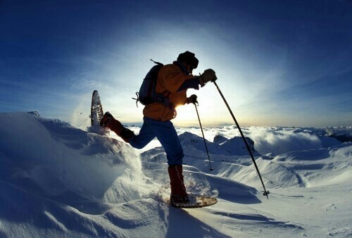 vojagis's profile picture. ufficio stampa turismo sportivo