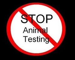 STOP animal testing and cruelty!