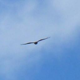 Blue sky thinking. Bring me sunshine.