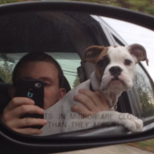 swervin_mervin1's profile picture. #GoBirds🇺🇸 🦅🇺🇸