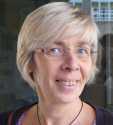 leerkracht informaticawetenschappen, lector lerarenopleiding HoGent en praktijkassistent UGenl