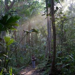 SaludSucumbios's profile picture. LIBERTAD