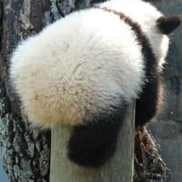 クリsさんのプロフィール画像
