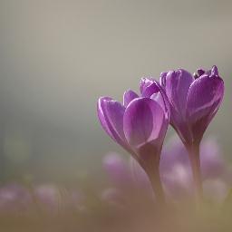 s_akbar_tafakh's profile picture. Its me .........