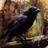 It_is_311's profile image