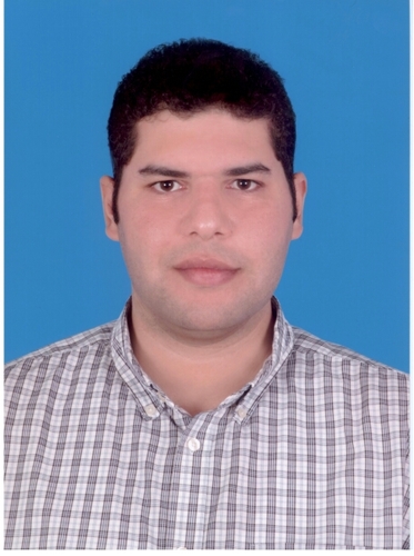 Sales Manager