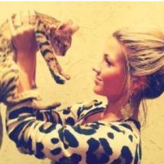 LinkDeLeuke123's profile picture. 