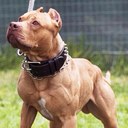 edwin.gaskin - @sleepy3323 - Twitter