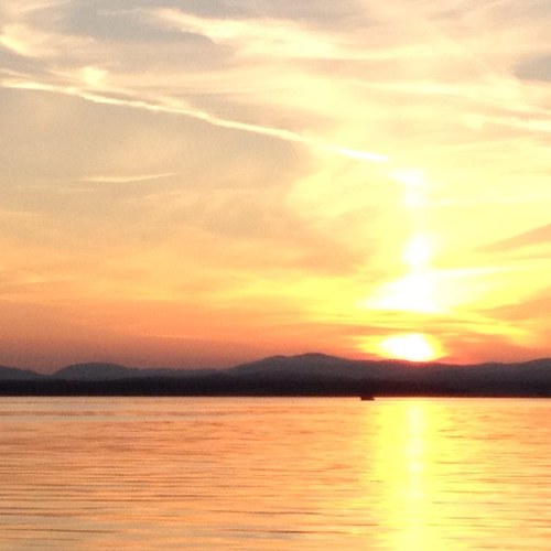 weegari's profile picture. 