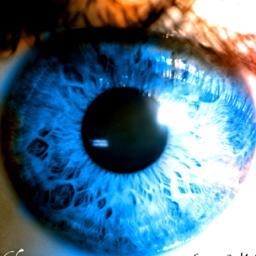 DavidSRCG's profile picture. The Clear Original...SimplyRead