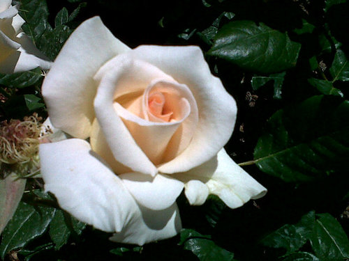 PennyBarrie's profile picture. 