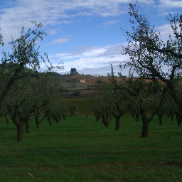 Sangandesa's profile picture. Nascuda a la Patagònia Argentina, fa 22 anys que visc a Catalunya. Treballadora Social per vocació i Educadora Social.