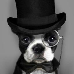 ajwroblewski78's profile picture. Row-bless-ski.  He/His/Him. Personal twitter account of Antoni Wroblewski.  Univ. of Mich. and EMU grad.  Ford Motor Co. employee. Retweets are not endorsements