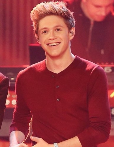The realtionship between Directioners and One Direction is so special.  We are their mofos, and they are our homos. I follow back :)