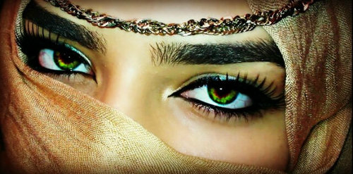 farzaanaNachmat's profile picture. Dedicated n Determined