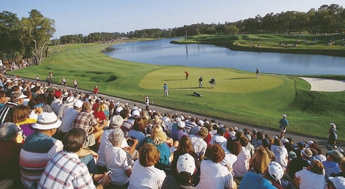 Sawgrass, Golf & Plastic Surgery