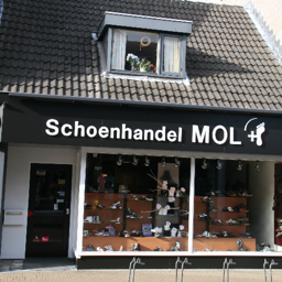 Molschoenen's profile picture. Het adres voor modieuze en comfortabele dames- heren en kinderschoenen, kleinlederwaren, tassen en accessoires. Ook voor steunzolen, braces en steunkousen!.