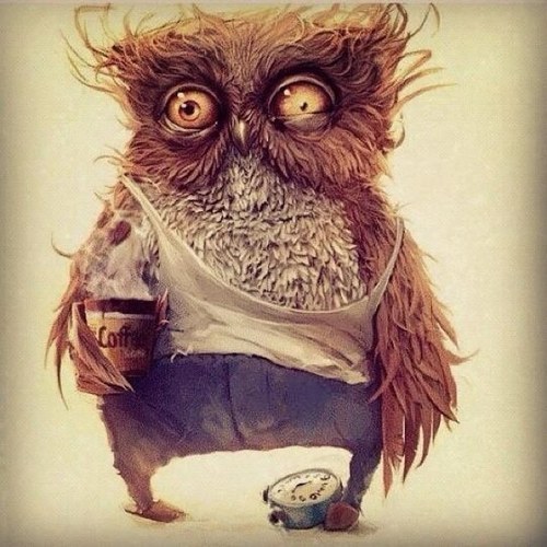 antonlys's profile picture. 