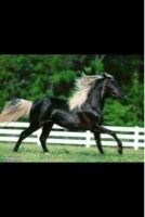 az3z_aboooabood's profile picture. سبحان الله وبحمده