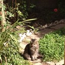 daniela branco - @danibigit - Twitter