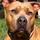 Tonya Cruce - @BullyBabex2 - Twitter