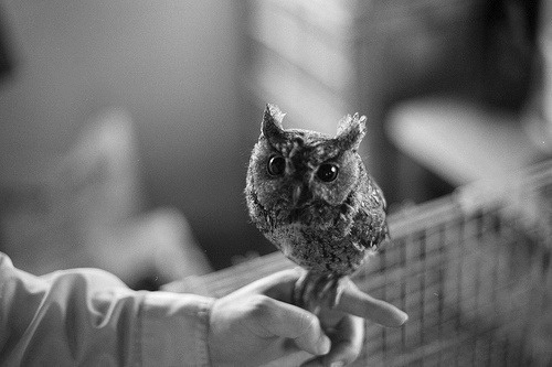 noof_SB's profile picture. لكَ الحمدُ ، حمدًا تطيبُ به الحياة . . .