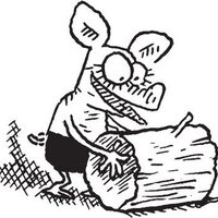 jaska nygren (@jaskanygren) 's Twitter Profile