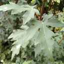 Kimberley Hurst - @Kimlouise12 - Twitter