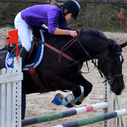 Bonjour, rosina du gui nel est une welsh cob section D noir pangaré toisant 1m59.
Nous sommes 6 eme du championnat départementale de l'essone en 2012 !!