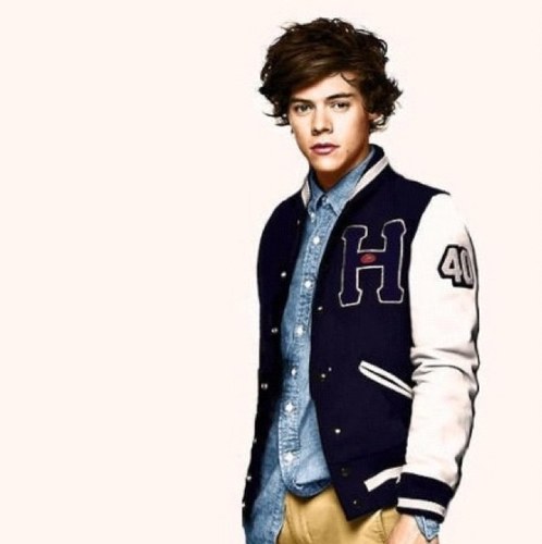 Hi :)... I'm a huge Directioner who is just loving life!!! I do follow back and I will give shoutouts... so thanks to all the lovlies who follow me :)