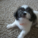 tyler wayne house - @tylerwaynehous2 - Twitter